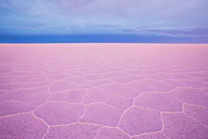 Salar: Overview of salt flat with salt hexagon patterns at dusk