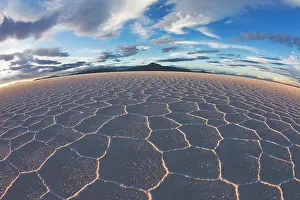 Salar: Overview of salt flat with salt hexagon patterns at sunset