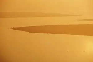 Oosterschelde: Overview of saltmarsh at Moriaanshoofd