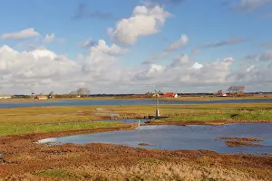 Oosterschelde: Overview of Saltmarsh of Zuidkust Schouwen nature reserve in