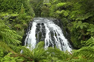 Waikato: Owharoa Falls, Karangahake Gorge, near Paeroa