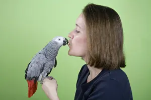 Psittacus: Owner Kissing Her African Grey Parrot