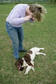 Distressed: Owner photographing a dog during a seizure