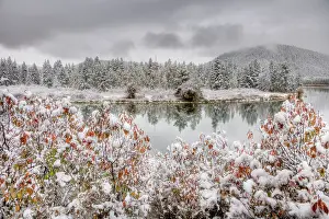 Tetons: Oxbow Bend with Autumn (Fall) colour