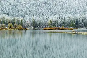 Tetons: Oxbow Bend autumn (Fall) colour and early snowGrand