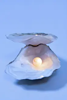 Pearls: Oyster Shell