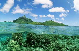 Atolls: PACIFIC - Coral reef and volcanoes
