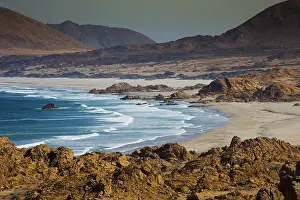 Atacama: Pacific Ocean - Pan de Azucar National Park - Chile