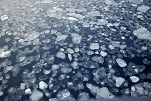 Pancake: Pack Ice in Antarctica - Pancake Ice