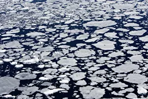 Pancake: Pack Ice in Antarctica - Pancake ice