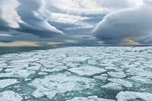Pack: Pack ice, Bjornsundet, Spitsbergen Island, Svalbard
