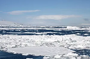 Gerlache: Pack ice - In Gerlache Strait