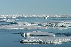 Evironment: Pack Ice - ice floes
