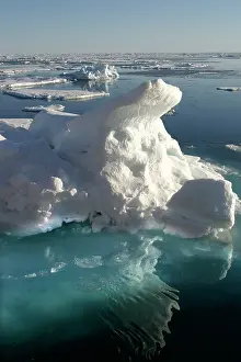 Evironment: Pack Ice, icebergs and floes