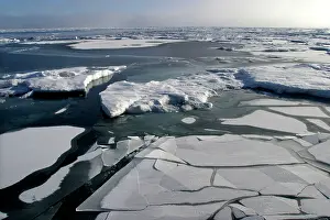 Evironment: Pack Ice - melting floes and breaking ice