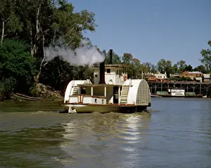Echuca: Paddlesteamer 'AdelaideI on Murray River, arriving