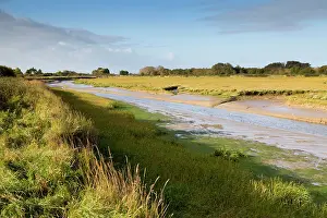 Rspb: Pagham RSPB Reserve