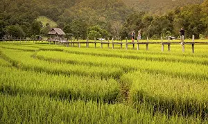 Tourists: Pai, Thailand on November 23, 2019: Tourists walking o