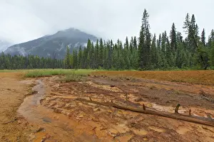 Kooteney: Paint Pots