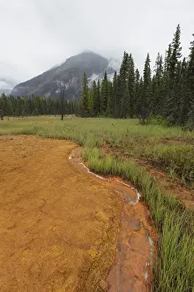 Kooteney: Paint Pots