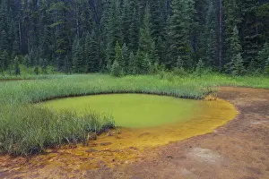 Kooteney: Paint Pots