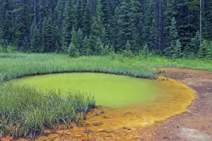 Kooteney: Paint Pots