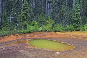 Pots: Paint Pots