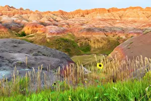 Dakota: A painterly image of softer hoodoos set against