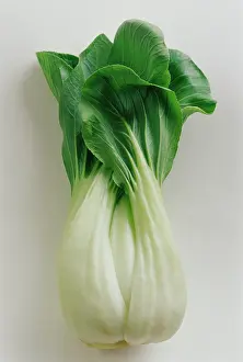 Chinensis: Pakchoi