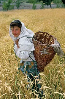 Pakistan: Pakistan - girl in Wheatfield
