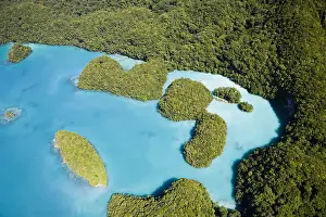 Archipelago: Palau Islands, Pacific Ocean, Micronesia, Oceania