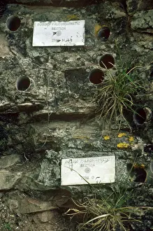 Magnetism: Paleomagnetology
