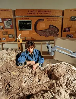 Triassic: Paleontologist J. Lynett Gillette - working on