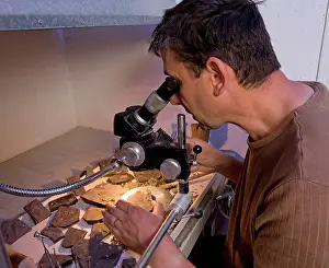 Microscope: Paleontologist / Palaeontologist Eric Depre using