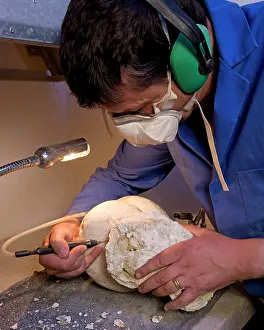 Palaeontologist: Paleontologist / Palaeontologist Eric Depre using