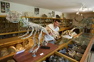 Palaeontologist: Paleontologist / Palaeontologist Eric Depren little museum