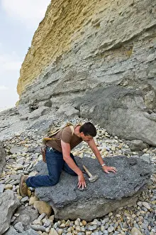 Oysters: Paleontology / Palaeontology - Eric Depre observing