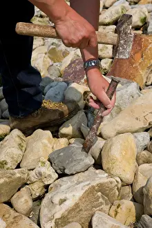 Eric: Paleontology / Palaeontology - Eric Depre searching