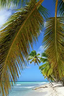 Nacional: Palm Beach, Isla Saona Island, Parque Nacional del