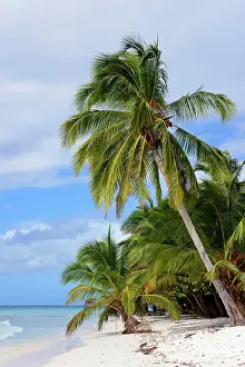 Nacional: Palm Beach, Isla Saona Island, Parque Nacional del