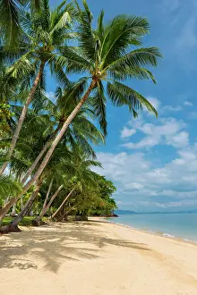 Isolation: Palm beach on Koh Yao Noi, beach holiday, beach