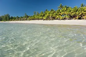 Burma: Palm beach, Ngapali Beach, Thandwe, Rakhine Coast