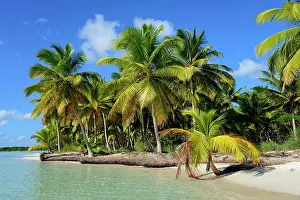 Nacional: Palm Beach, Parque Nacional del Este, Dominican