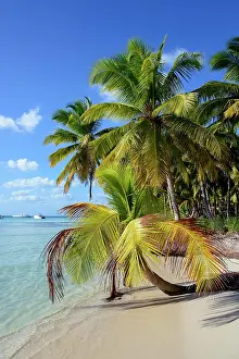 Nacional: Palm Beach, Parque Nacional del Este, Dominican