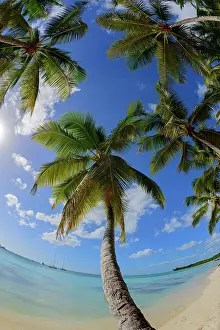 Distorted: Palm Beach, Parque Nacional del Este, Dominican