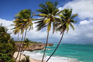 Barbados: Palm trees at Bottom Bay on the southeast