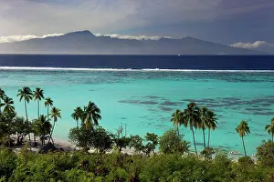 Tahiti: Palm trees on the beach, lagoon and island of Tahiti