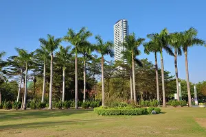 050320: Palm trees in Central Park, Kaohsiung City, Taiwan