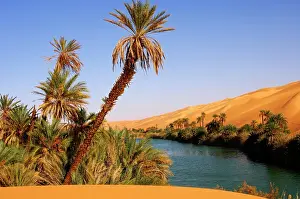 Libya: Palm trees on the shore of the Um el Maa lake in