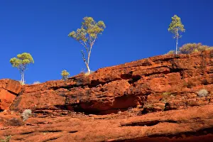 Finke: Palm Valley Rim - rim of Finke Gorge decorated
